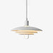 Poul Pendant Lamp-DWHOME