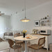 Poul Pendant Lamp-DWHOME
