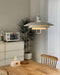 Poul Pendant Lamp-DWHOME