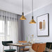 Cone Pendant Lamp - DWHOME