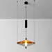 Proton Cone Pendant Lamp-DWHOME