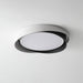 Quinn Ceiling Light-DWHOME