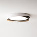 Quinn Ceiling Light-DWHOME