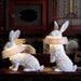 Rabbit X Table Lamp-DWHOME