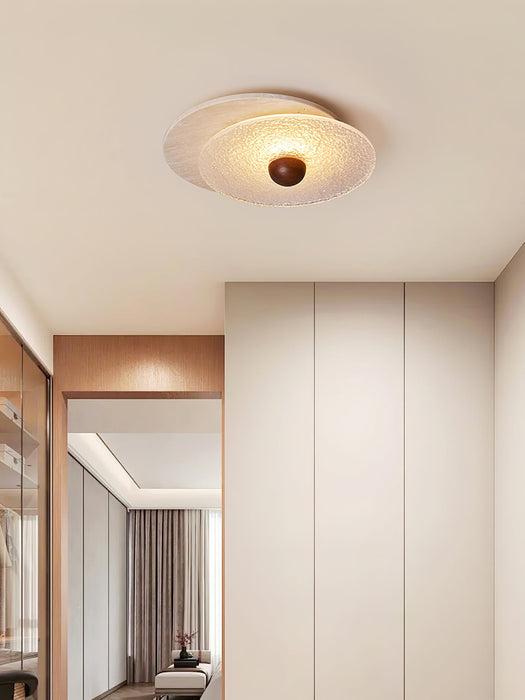 Radiant Disc Ceiling Lamp-DWHOME