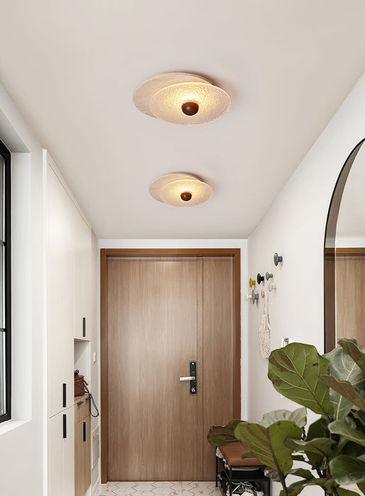 Radiant Disc Ceiling Lamp-DWHOME
