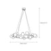Raechelle Chandelier-DWHOME