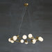 Raechelle Chandelier-DWHOME