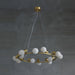 Raechelle Chandelier-DWHOME