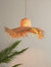 Rattan Straw Hat Pendant Light-DWHOME