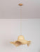 Rattan Straw Hat Pendant Light-DWHOME