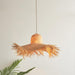 Rattan Straw Hat Pendant Light-DWHOME
