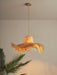 Rattan Straw Hat Pendant Light-DWHOME