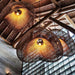Rattan Wave Pendant Light-DWHOME
