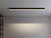 Reetahnna Slim Rectangular Linear Ceiling Lamp - DWHOME