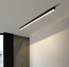 Reetahnna Slim Rectangular Linear Ceiling Lamp | DWHOME