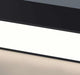 Reetahnna Slim Rectangular Linear Ceiling Lamp - DWHOME