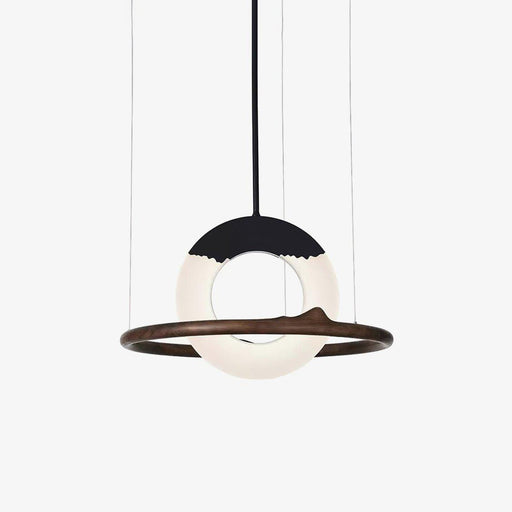 Reincarnation Pendant Lamp-DWHOME