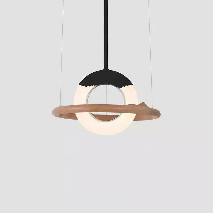 Reincarnation Pendant Lamp-DWHOME