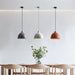 Resin Bowl Pendant Lamp-DWHOME