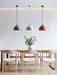 Resin Bowl Pendant Lamp-DWHOME
