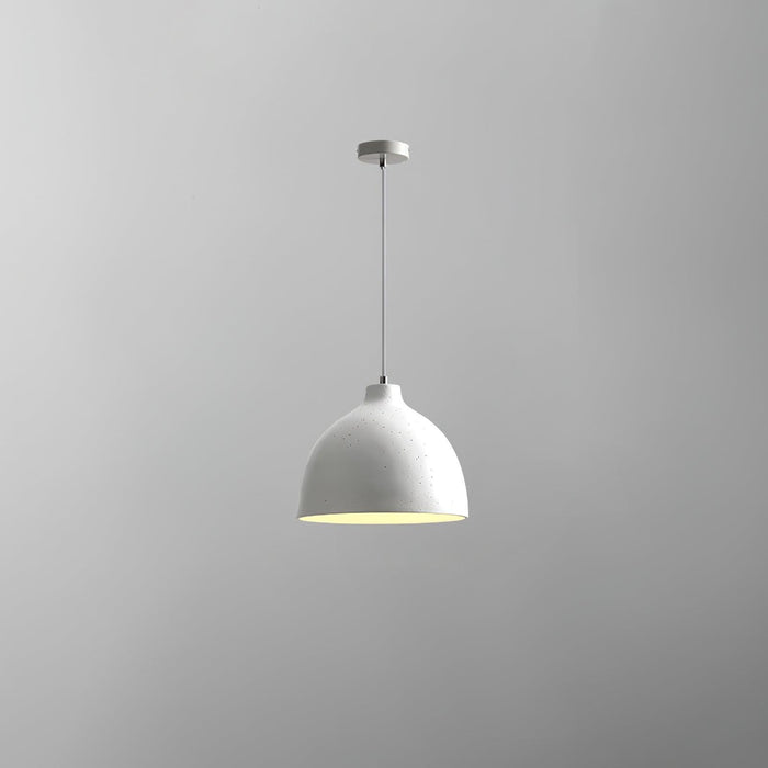 Resin Bowl Pendant Lamp-DWHOME