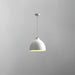 Resin Bowl Pendant Lamp-DWHOME