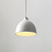 Resin Bowl Pendant Lamp-DWHOME