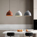 Resin Bowl Pendant Lamp-DWHOME