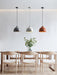 Resin Bowl Pendant Lamp-DWHOME