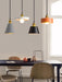 Resin Geometric Pendant Lamp-DWHOME