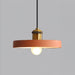Resin Geometric Pendant Lamp-DWHOME