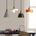 Resin Geometric Pendant Lamp-DWHOME
