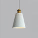Resin Geometric Pendant Lamp-DWHOME