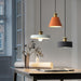 Resin Geometric Pendant Lamp-DWHOME