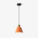 Resin Geometric Pendant Lamp-DWHOME
