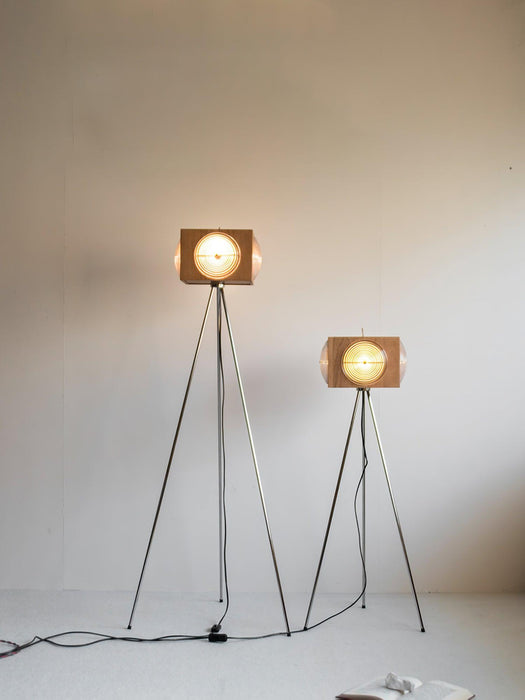 Retro Camera Focus Floor Lamp-DWHOME