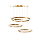 Ring LED Pendant Light-DWHOME