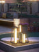 Roam Portable Outdoor Light-DWHOME