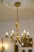 Rodrick 6-Light Chandelier-DWHOME