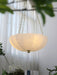 Rosehill Chandelier-DWHOME
