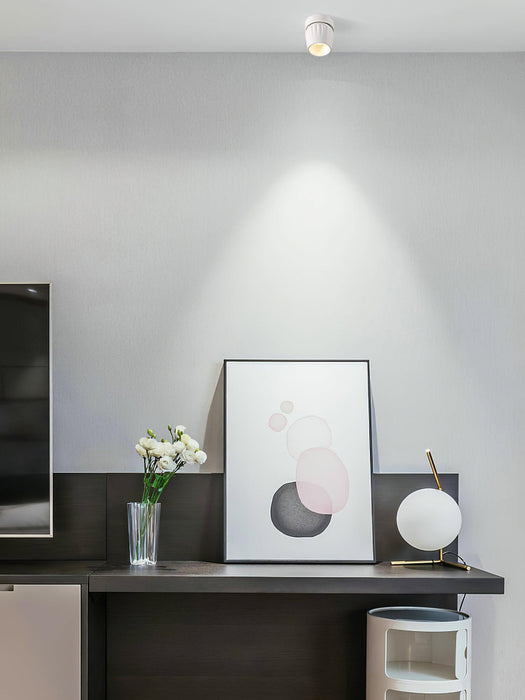 Rotatable Spotlight-DWHOME