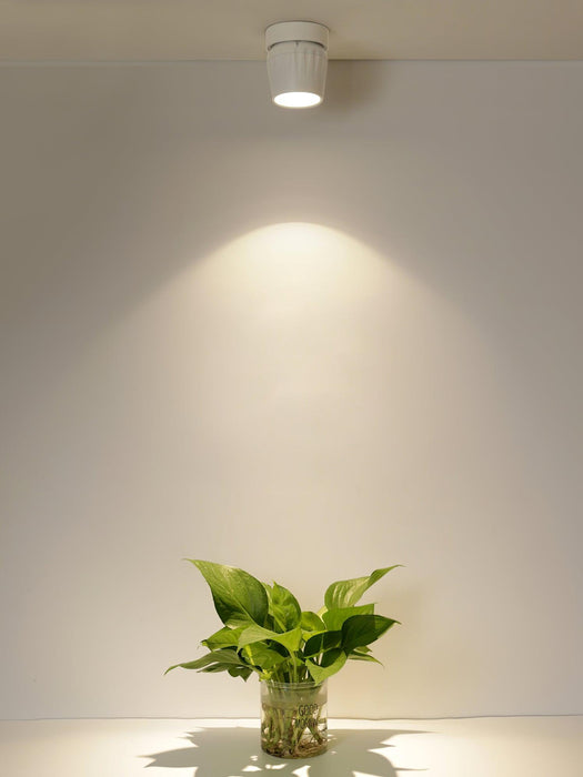 Rotatable Spotlight-DWHOME