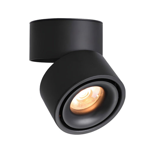 Rotatable Spotlight Ceiling Light-DWHOME
