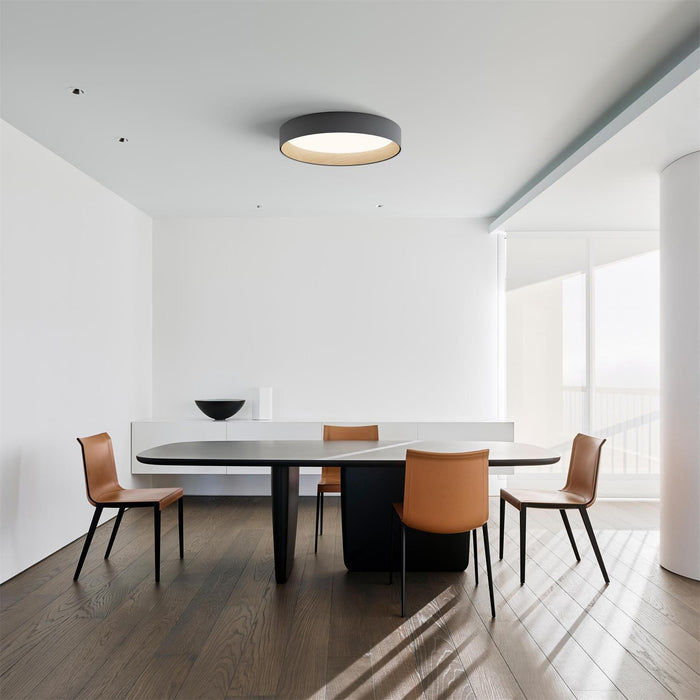 Round Ceiling Lamp-DWHOME