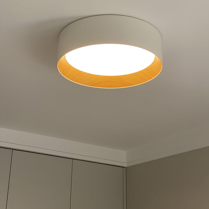 Round Ceiling Lamp-DWHOME