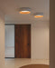 Round Ceiling Lamp-DWHOME