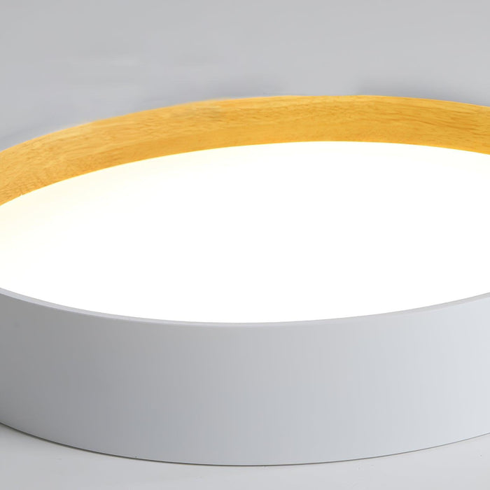 Round Ceiling Lamp-DWHOME