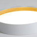 Round Ceiling Lamp-DWHOME