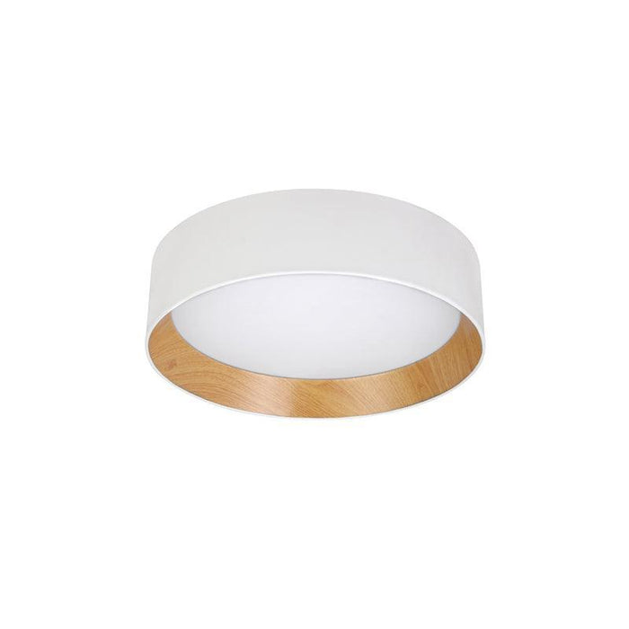 Round Ceiling Lamp-DWHOME